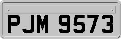 PJM9573