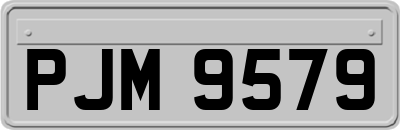 PJM9579