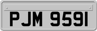 PJM9591