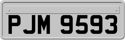 PJM9593