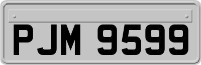 PJM9599