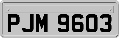 PJM9603
