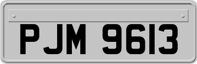PJM9613