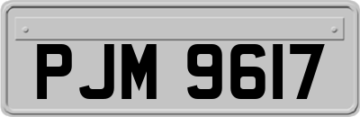 PJM9617