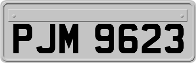 PJM9623