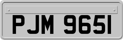 PJM9651