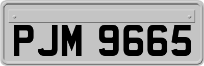 PJM9665
