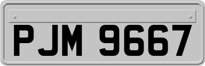 PJM9667