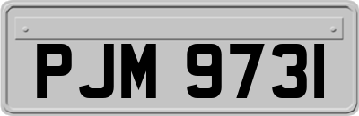 PJM9731