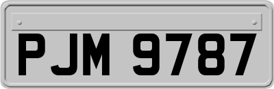PJM9787
