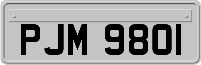 PJM9801