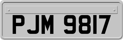 PJM9817