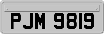 PJM9819