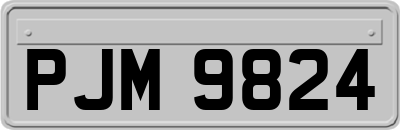 PJM9824