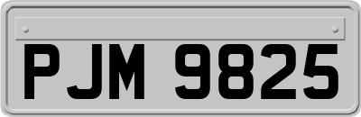 PJM9825