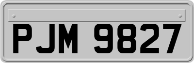 PJM9827