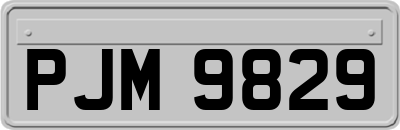 PJM9829