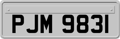 PJM9831