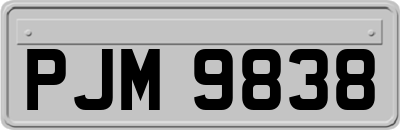 PJM9838