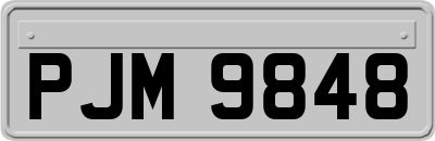 PJM9848
