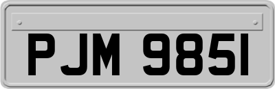 PJM9851