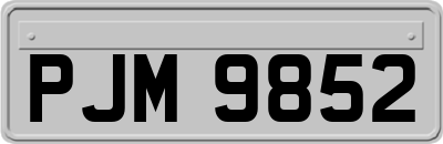 PJM9852