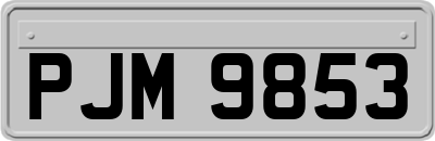 PJM9853
