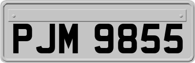 PJM9855