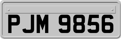PJM9856