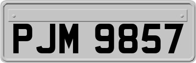 PJM9857