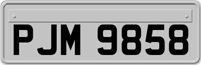 PJM9858
