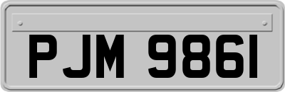 PJM9861