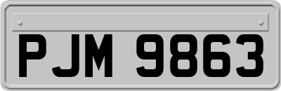 PJM9863