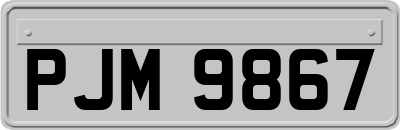 PJM9867