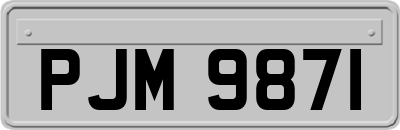 PJM9871