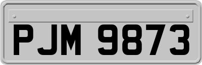 PJM9873