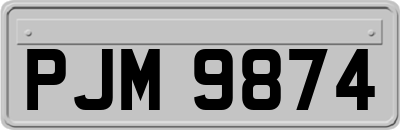PJM9874