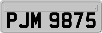 PJM9875