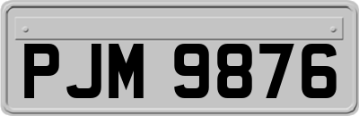 PJM9876