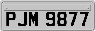 PJM9877
