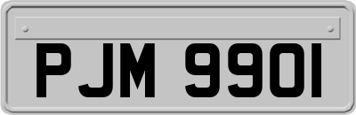 PJM9901