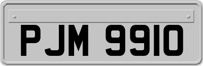 PJM9910