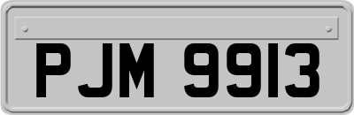 PJM9913