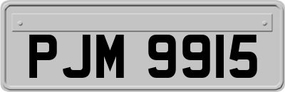PJM9915