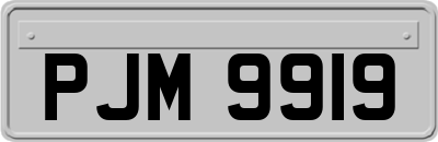 PJM9919