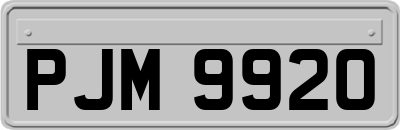 PJM9920