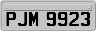 PJM9923