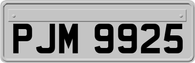 PJM9925