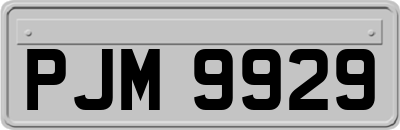 PJM9929