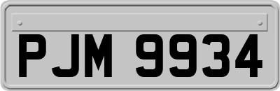 PJM9934